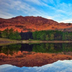 Meet your Posher, Elisa